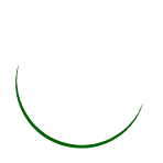 Loading Gif